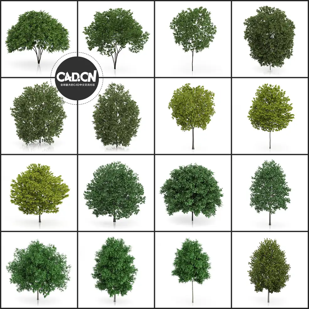 42套景观树木C4D模型 Tree - C4D之家 - 未命名-1.jpg