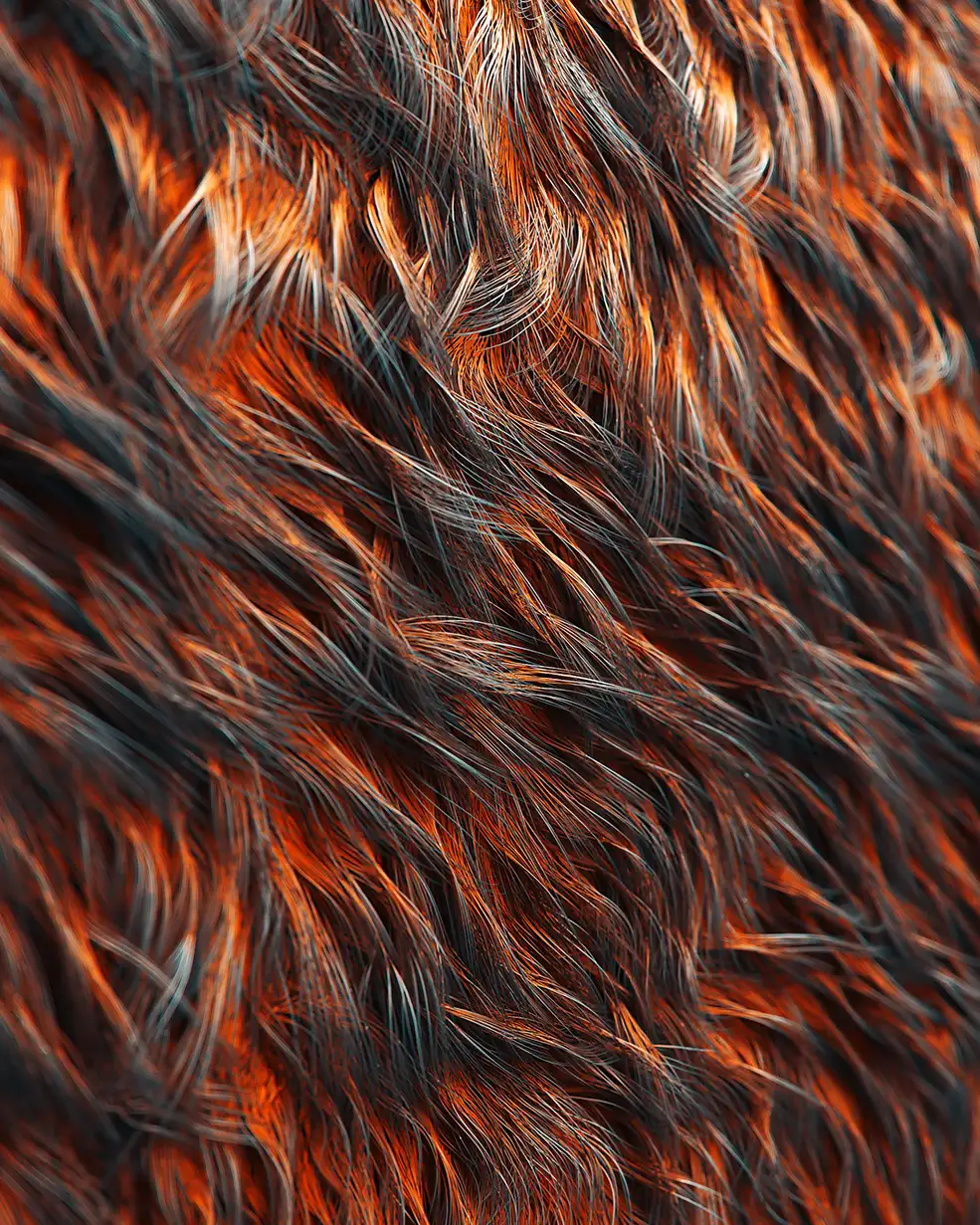 C4D工程第720季：棕红色毛发C4D工程 C4D Project[Cinema4D - Octane] - C4D之家 - [23-01-19]---Red.jpg
