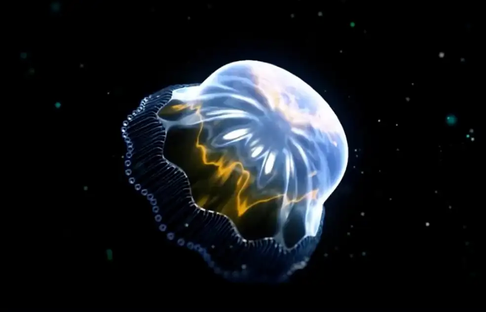 C4D+AE+Octane渲染水母视频教程 Alien Jellyfish Tutorial