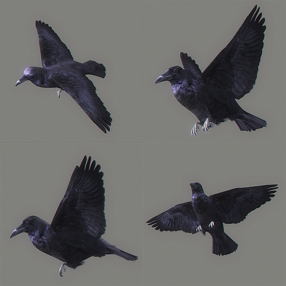 乌鸦3D模型 Animated Crow 3D model - C4D之家 - animated-crow-3d-model-animated-rigged-max-obj-3ds-fbx-c4d-lwo-lw-lws.jpg