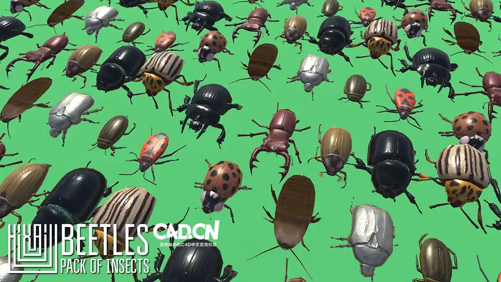 60个甲虫昆虫3D模型 Insects and Beetles Pack - C4D之家 - beetles-pack-of-insects-3d-model-low-poly-rigged-fbx.jpg