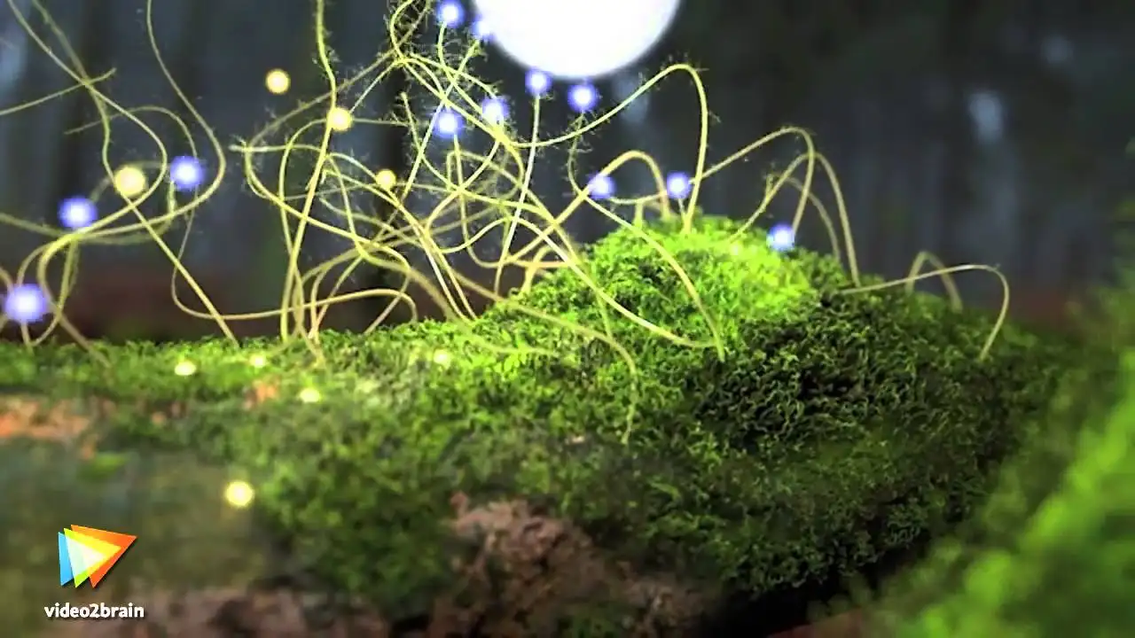 C4D粒子系统基础讲解法语教程 Practical Workshop with CINEMA 4D Thinking Particles