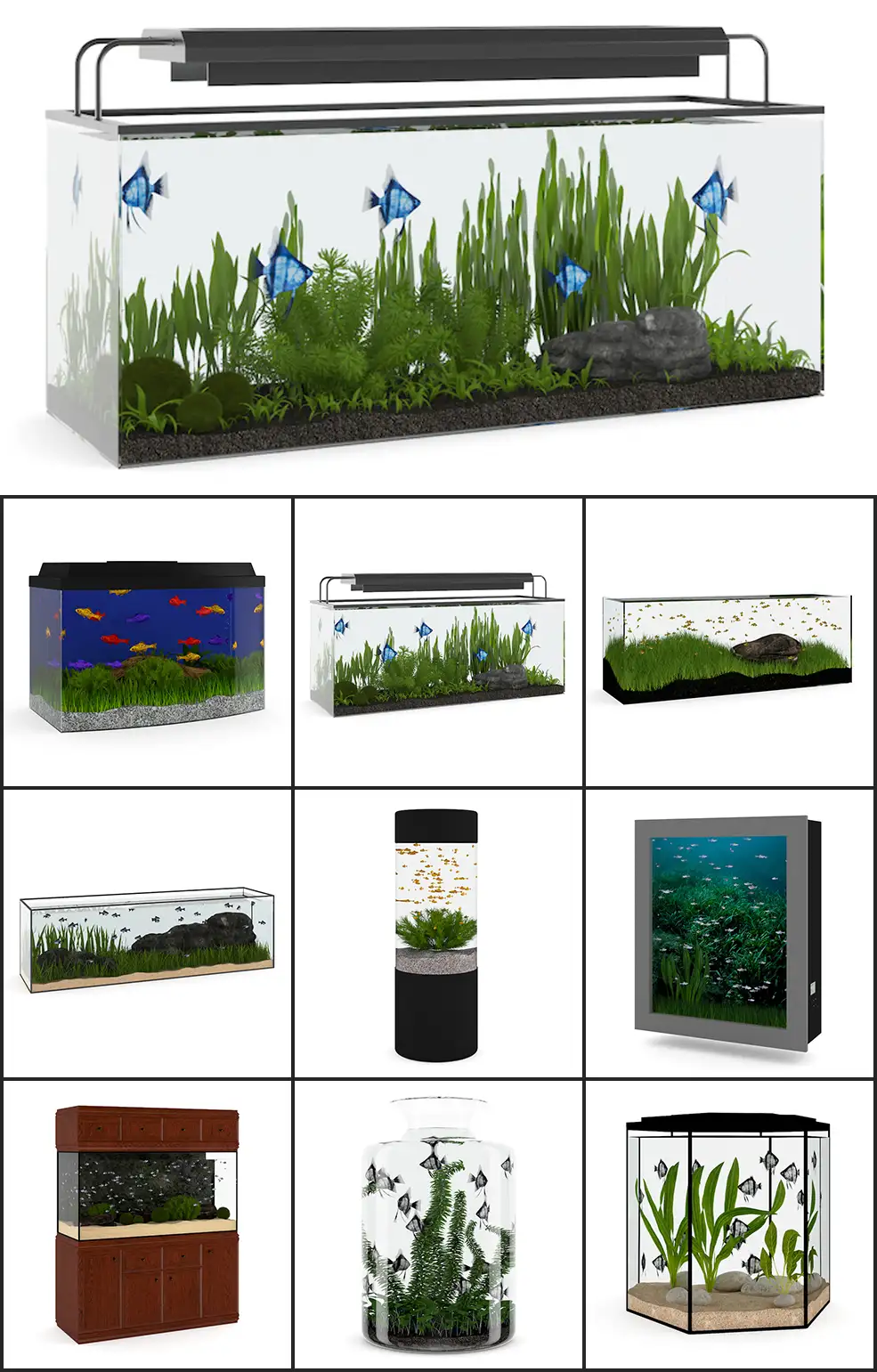 15个C4D鱼缸模型合集 Aquariums - C4D之家 - 未命名-1.jpg
