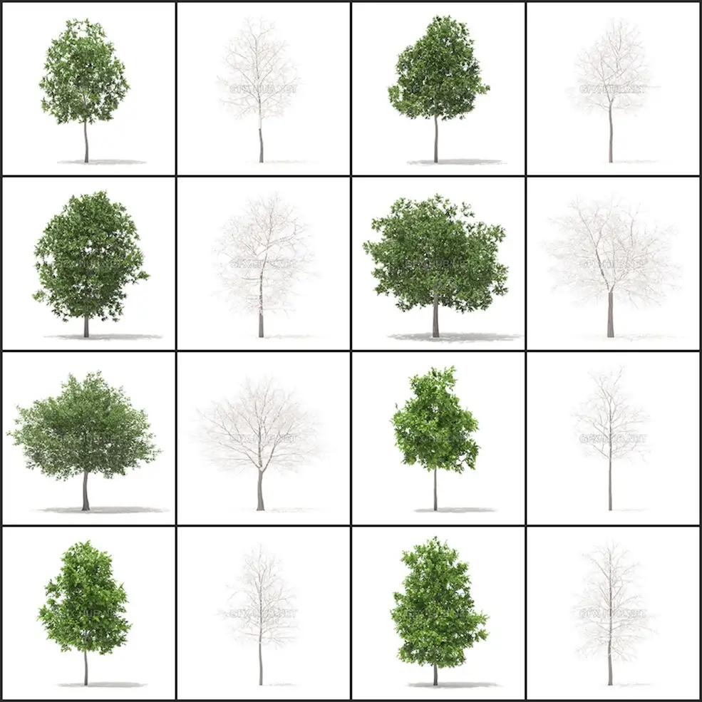 54套春冬季节树木C4D模型合集 Trees 3D Models Collection