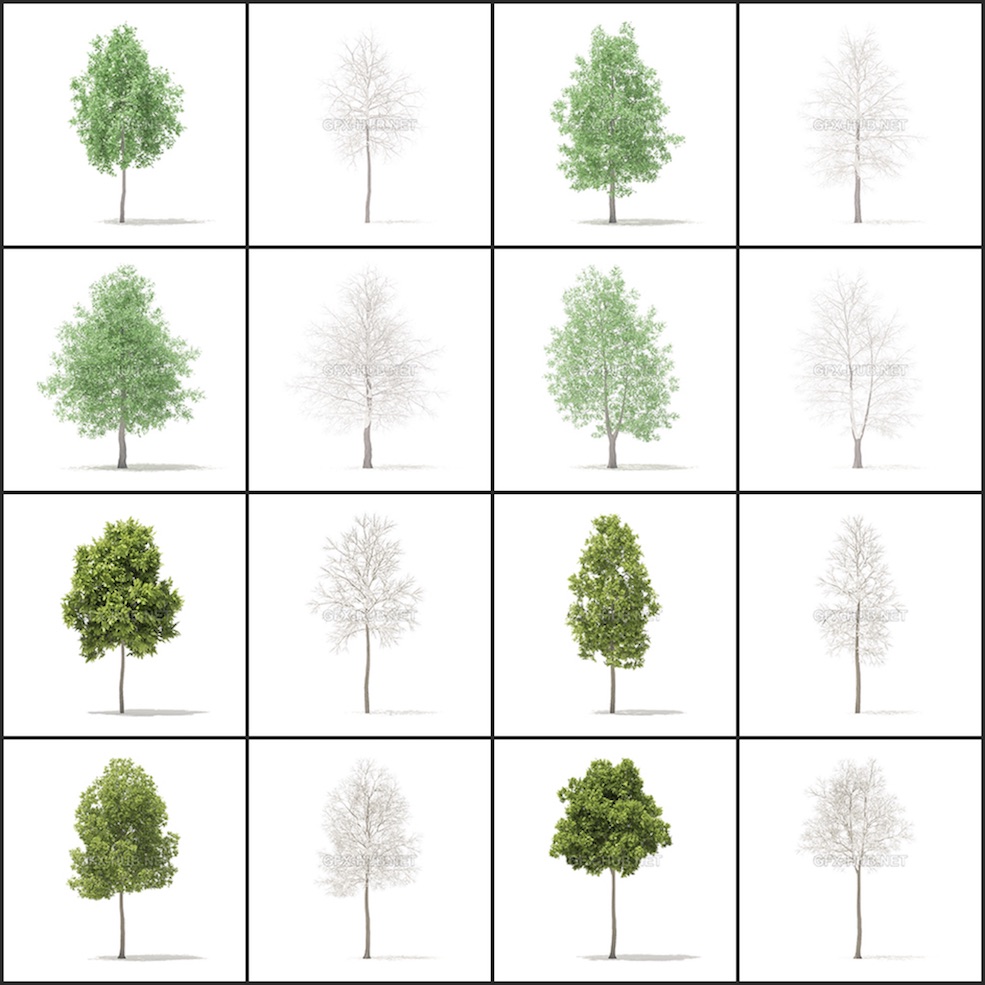 54套春冬季节树木C4D模型合集 Trees 3D Models Collection - C4D之家 - 3.jpg