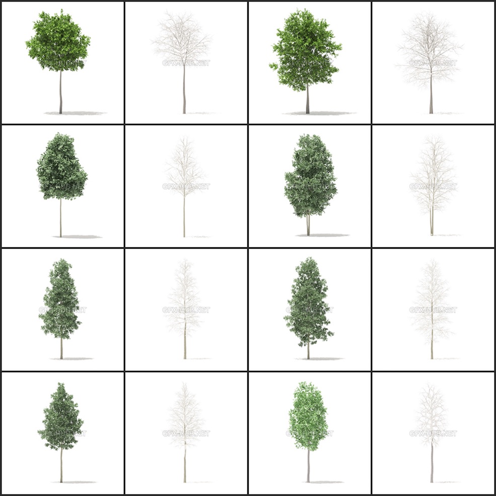 54套春冬季节树木C4D模型合集 Trees 3D Models Collection - C4D之家 - 2.jpg