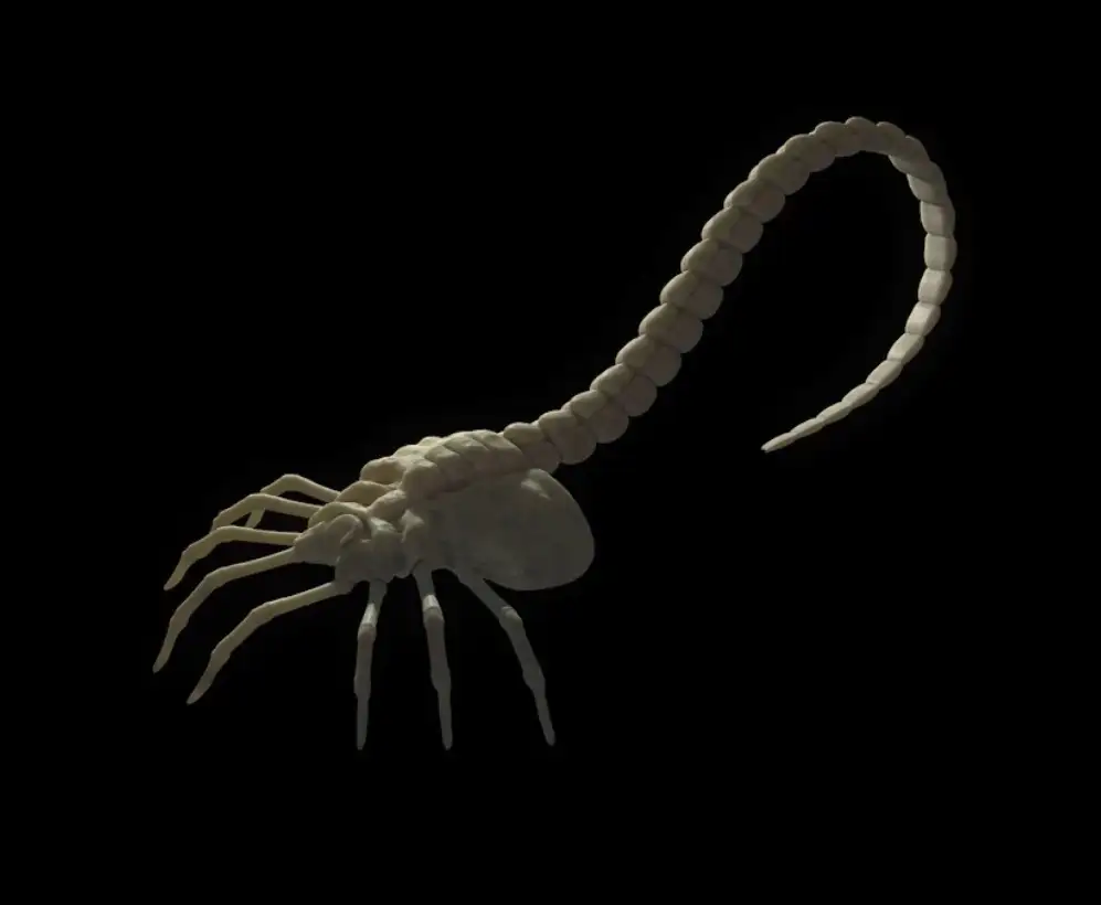 C4D外星生物雕刻建模视频教程 alien facegugger tutorial cinema 4d