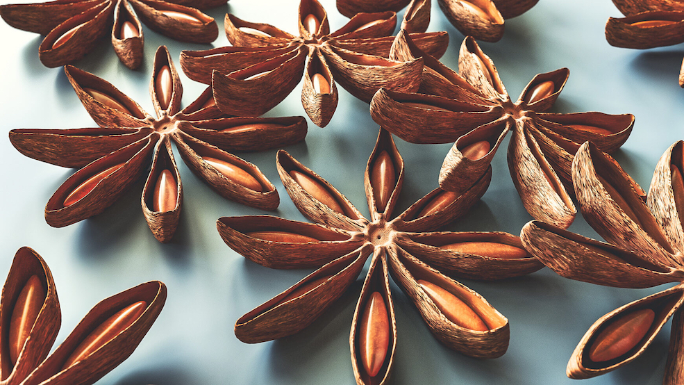 C4D Arnold大料八角茴香模型 Anise Spice - C4D之家 - Free-Cinema-4D-3D-Model-Anise-Spice.jpg