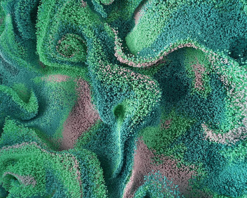 C4D使用X-Particles+Redhsift制作粒子场景教程 Wavy Particles Cinema 4D Tutorial - C4D之家 - Particles0060 (0-00-00-00).png