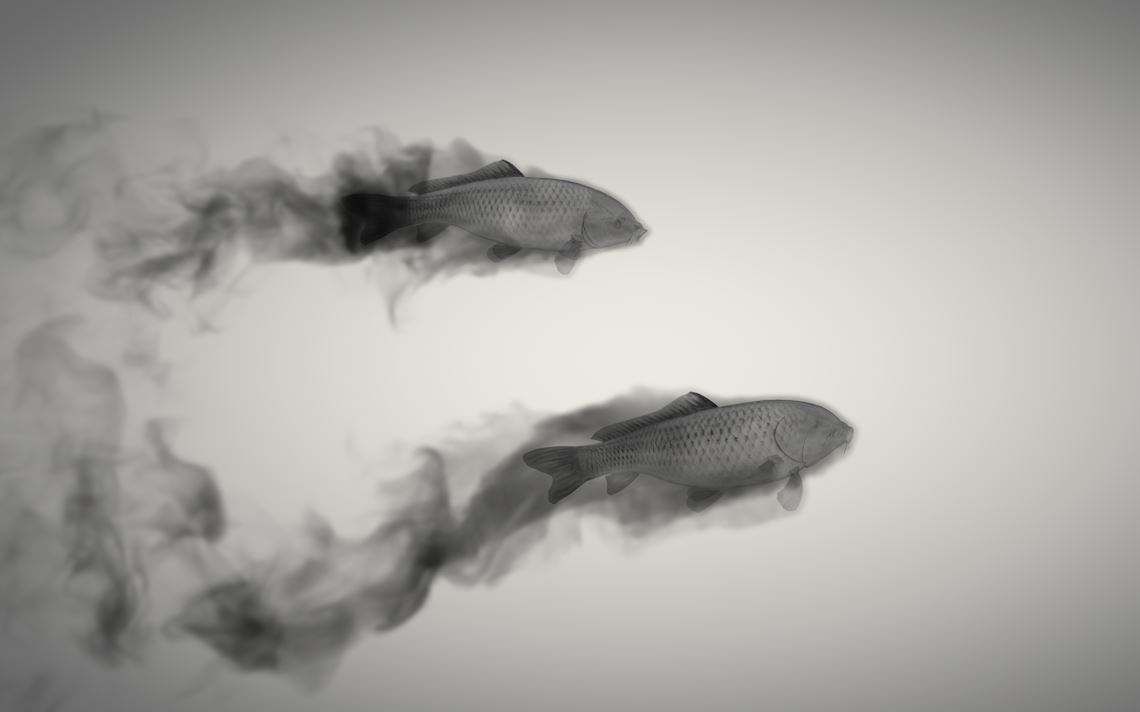 C4D中国水墨鱼动画解析 水墨粒子动画中文视频教程 - C4D之家 - 5b6fa2041eebf3d4a040a2bc47f37d85e21adca0.jpg