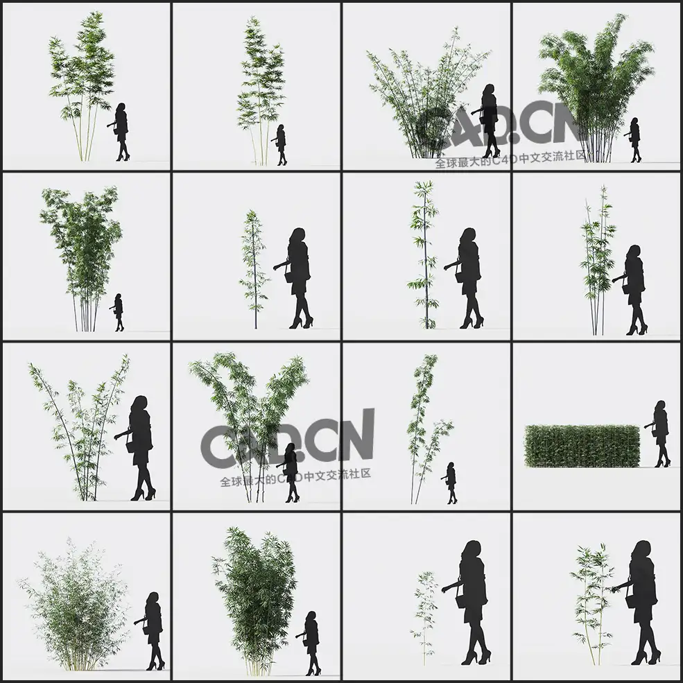 40多个竹子 竹林3D模型 (格式:MAX/FBX) - C4D之家 - 未命名-2.jpg