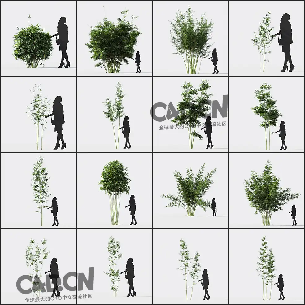 40多个竹子 竹林3D模型 (格式:MAX/FBX) - C4D之家 - 未命名-1.jpg