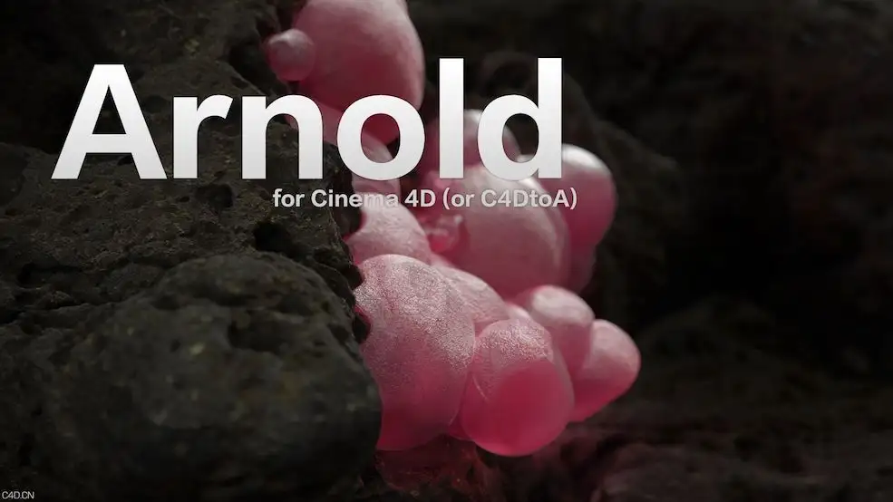 C4D阿诺德渲染器Solid Angle Cinema 4D To Arnold v2.5.2.1