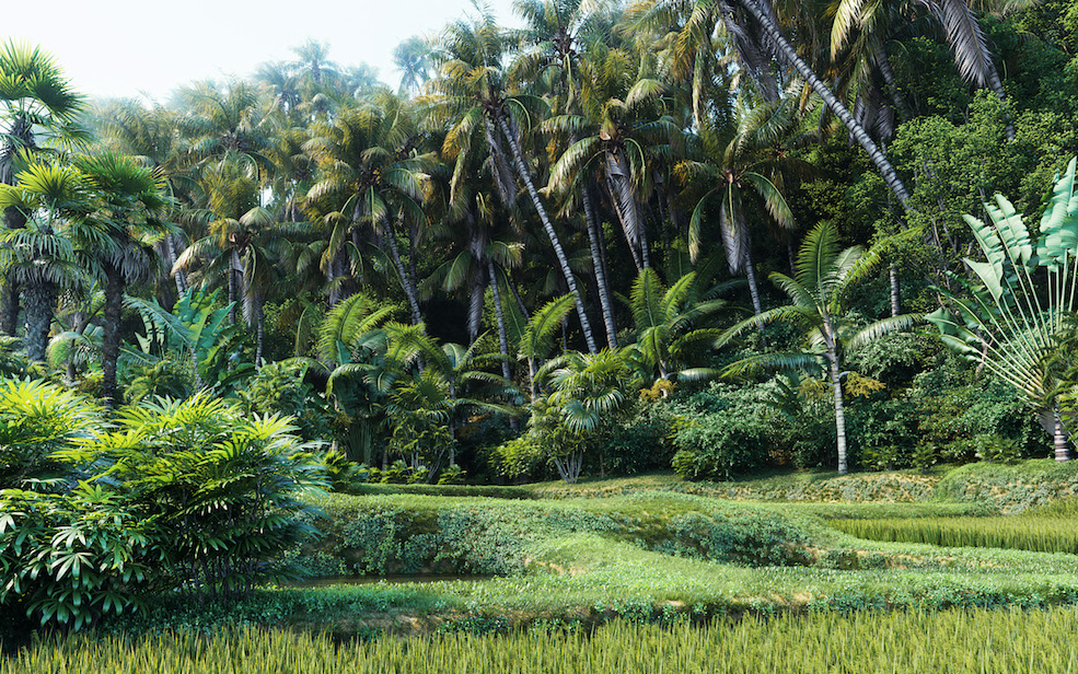 3种热带植物树木3D模型 (格式MAX/FBX)