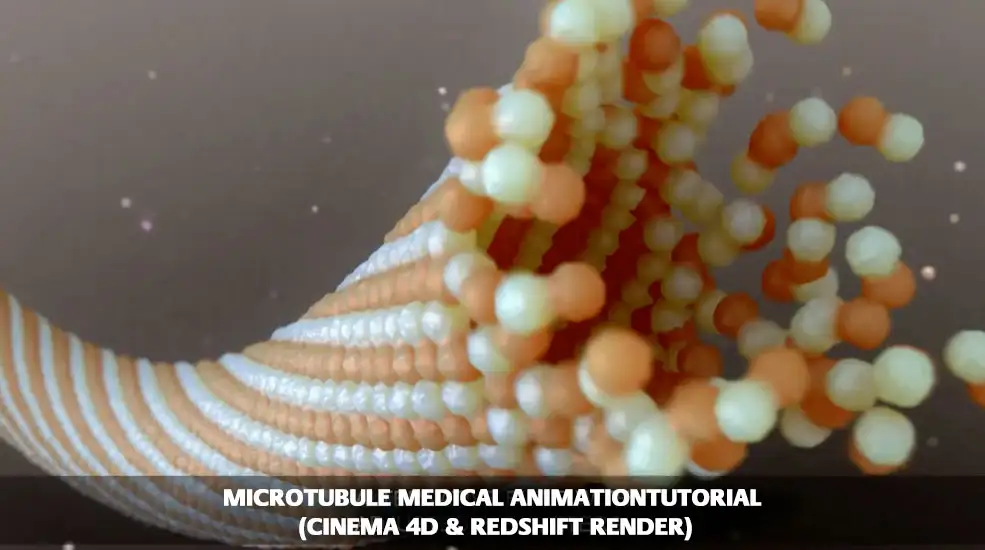 C4D微管蛋白生长医学动画教程 Microtubule Medical AnimationTutorial