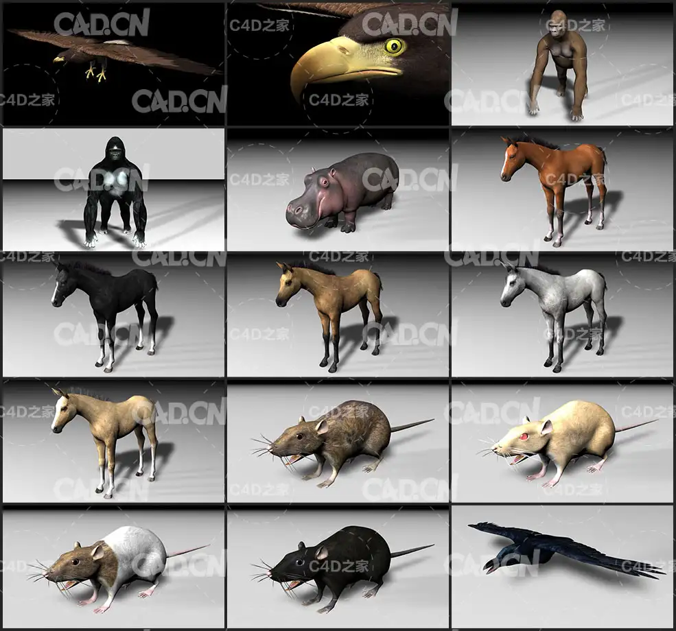 11种动物C4D模型合集