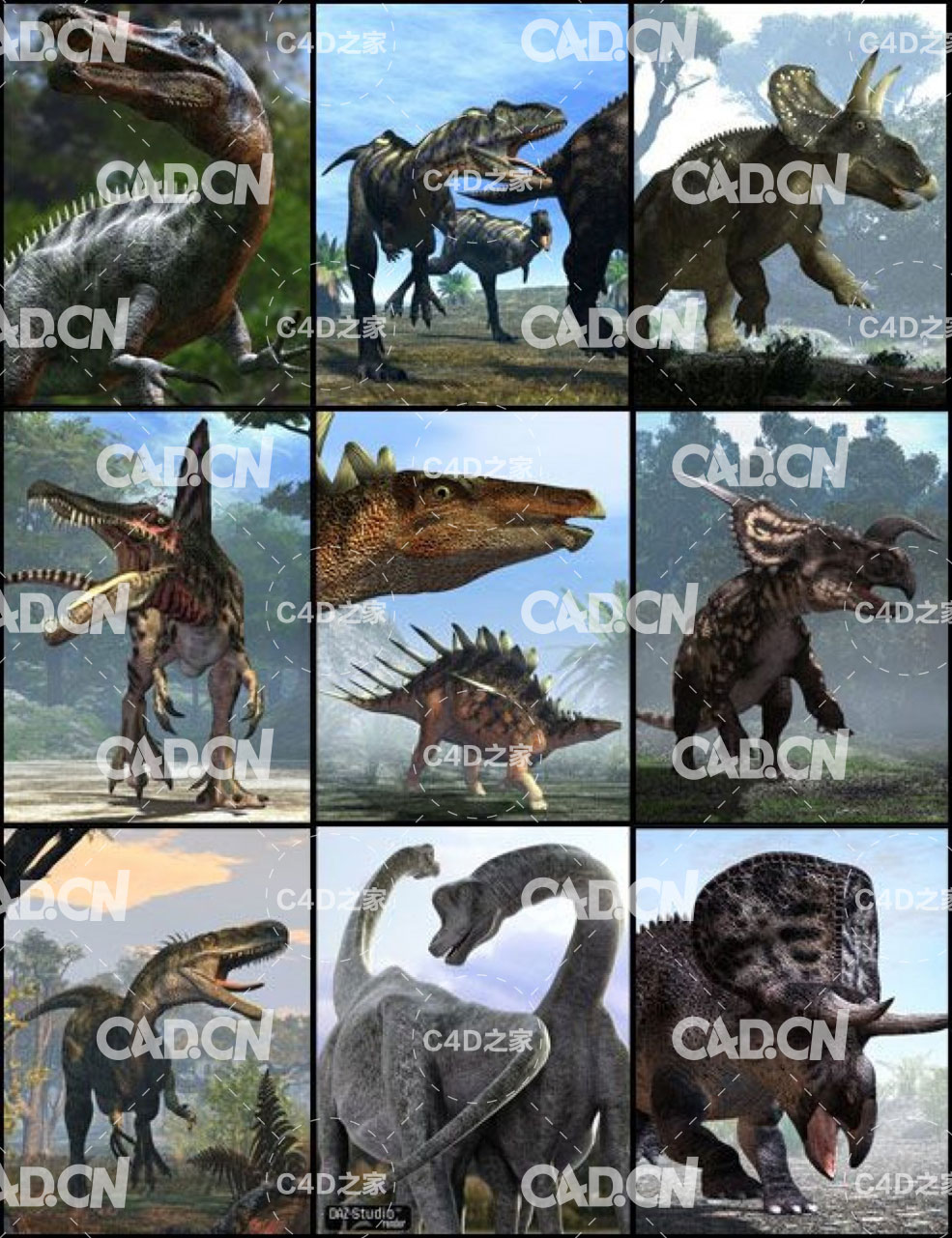 80只恐龙C4D模型大合集 dinosaurs - C4D之家 - predator-vs-prey-dinosaur-bundle-large.jpg