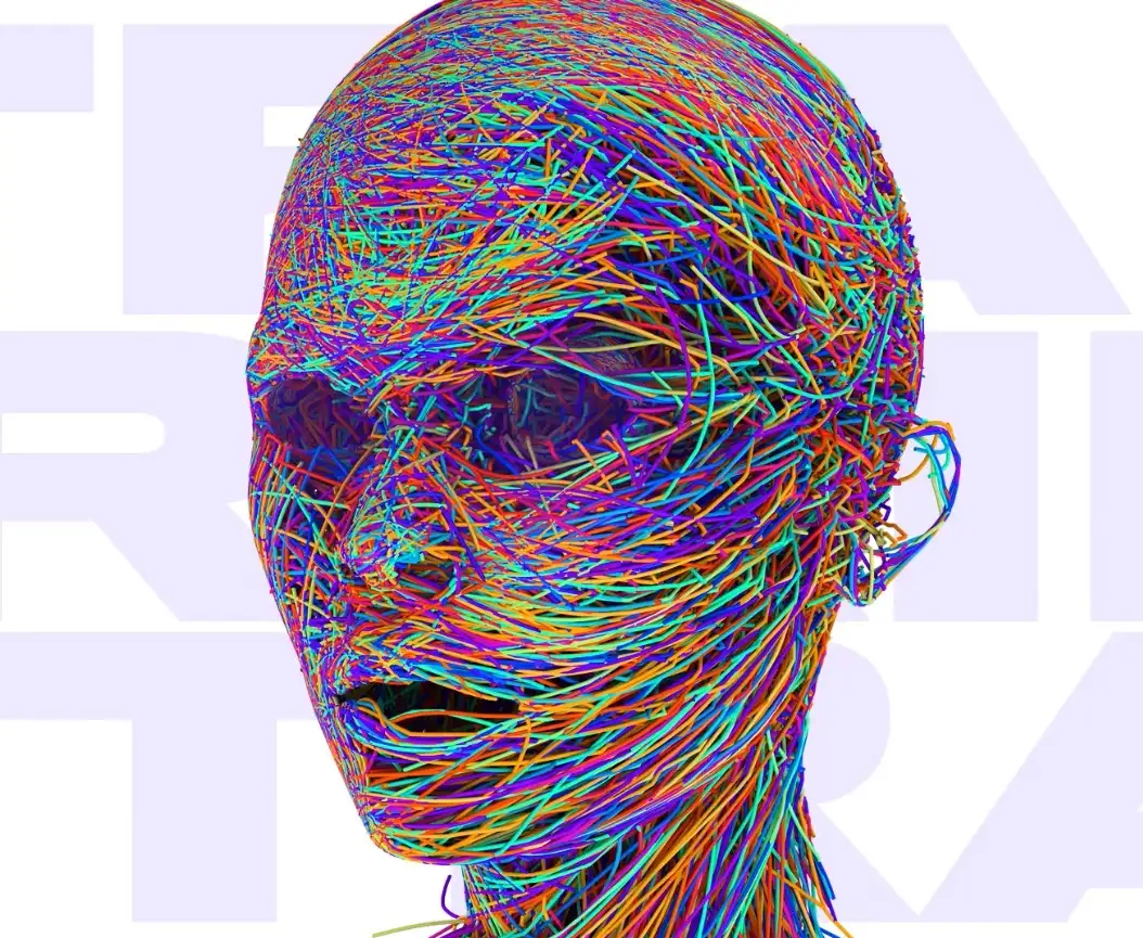 C4D使用XParticles制作线条人像艺术效果