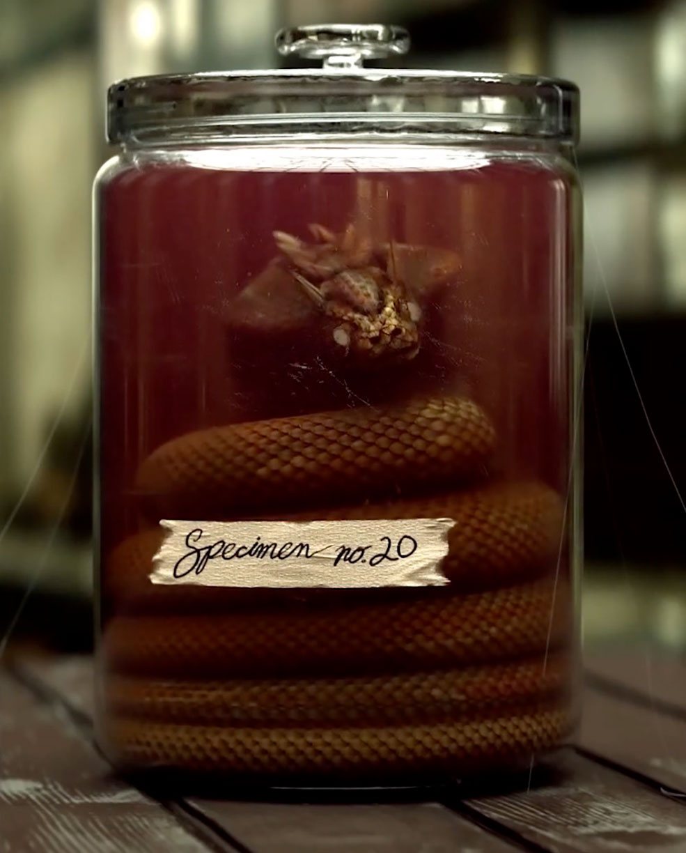 C4D制作一个罐子中的蛇教程 Creating Specimen Jars in Cinema4D Tutorial