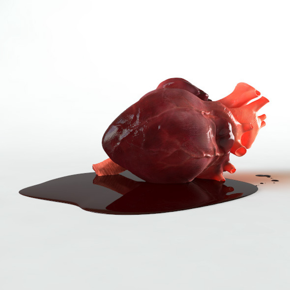 人体心脏3D模型 3DOcean – Brave Heart – 3D model of human heart - C4D之家 - 01.jpg