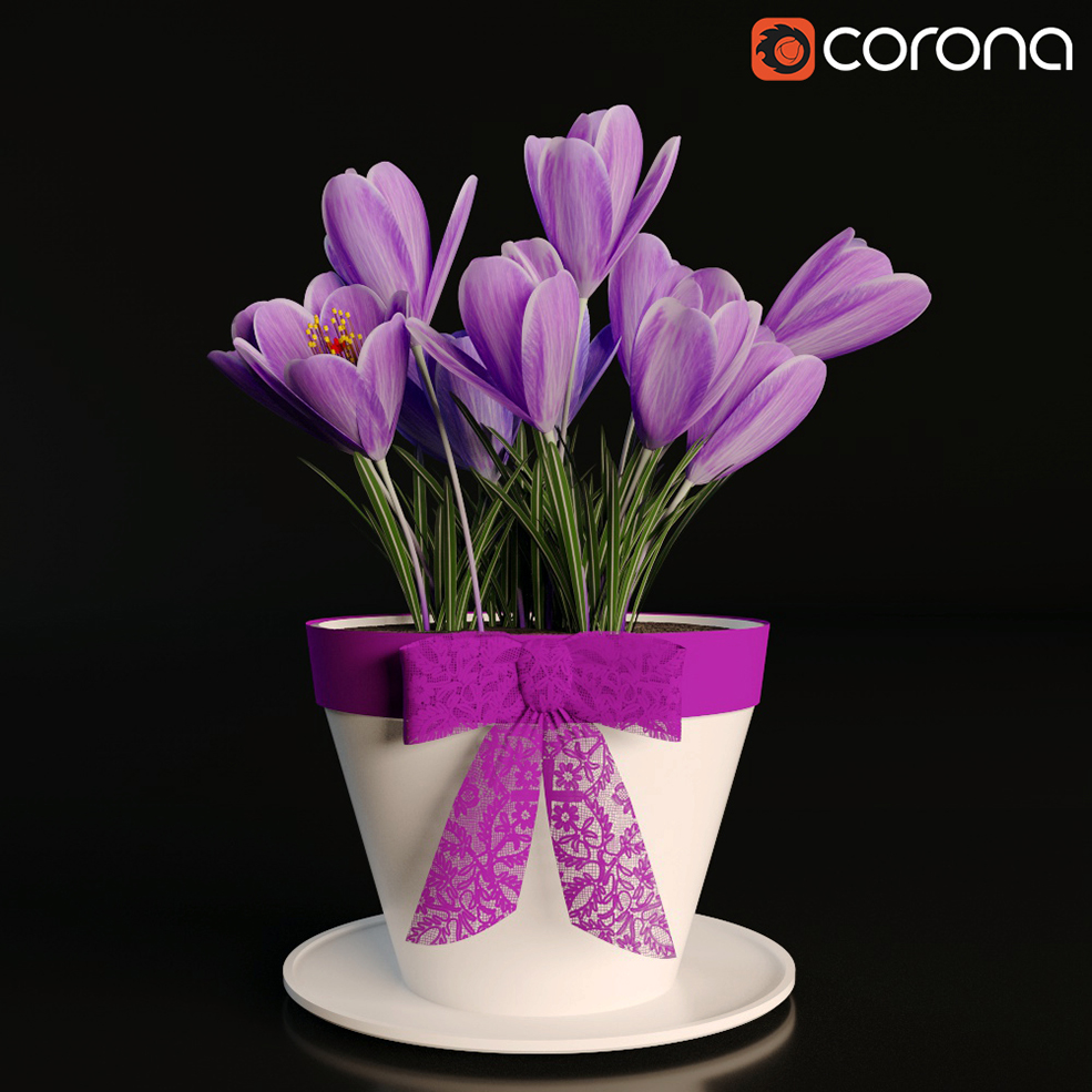 藏红花C4D模型 Crocus flower - C4D之家 - crocus.jpg