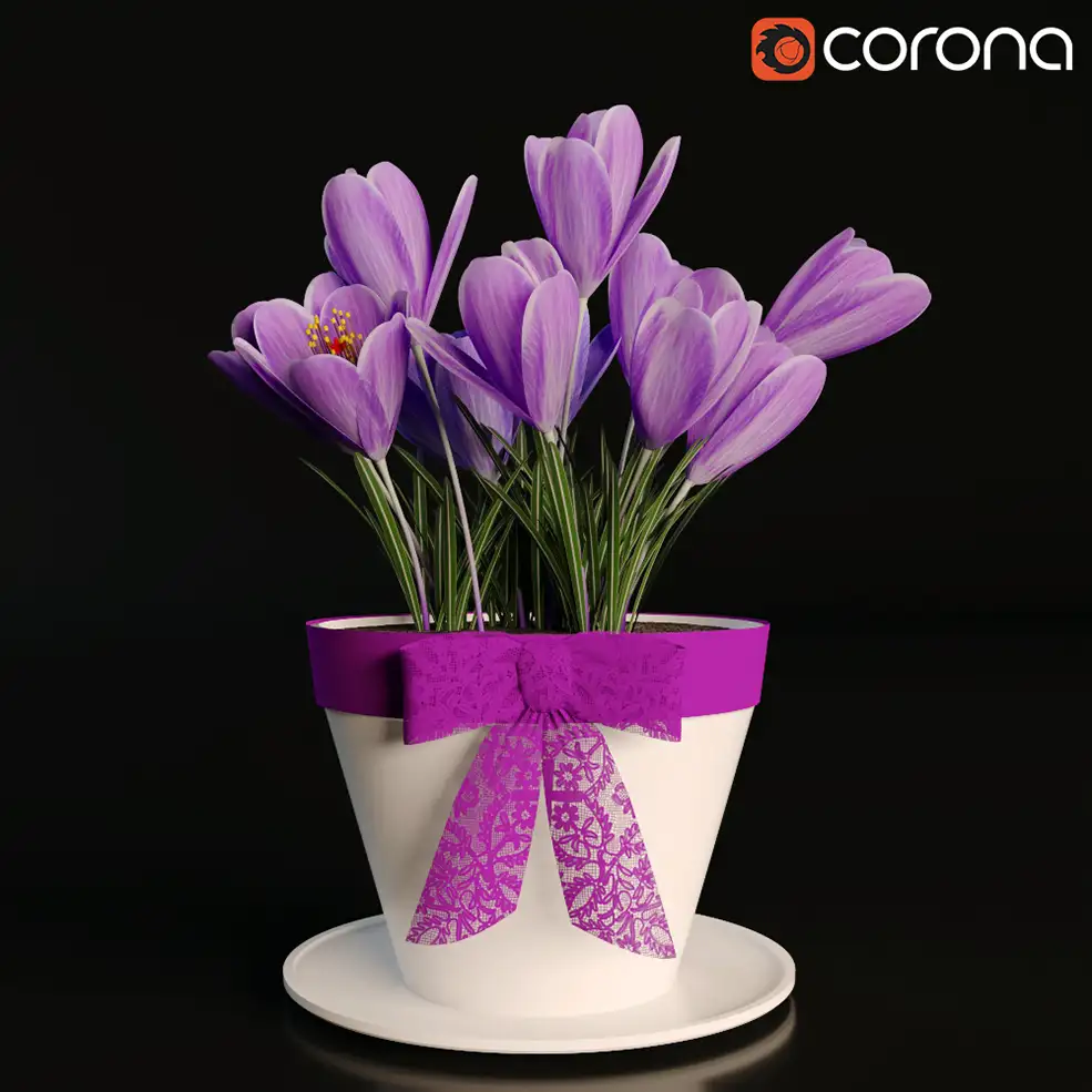 藏红花C4D模型 Crocus flower - C4D之家 - crocus.jpg