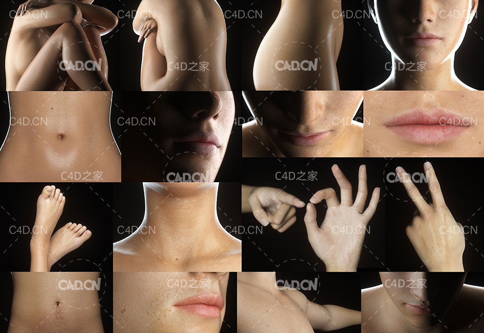C4D Octane Render男女真实皮肤贴图材质模型工程 - C4D之家 - Render-Examples.jpg