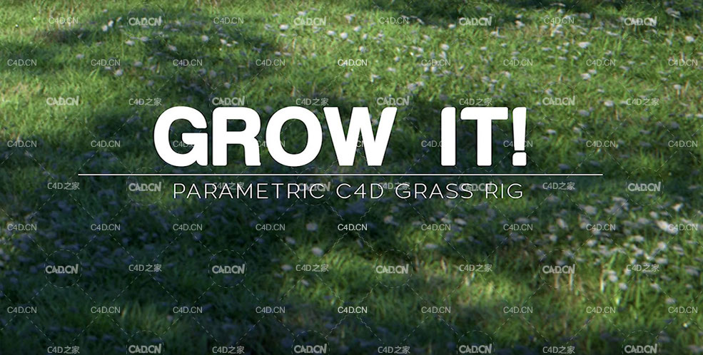 C4D草地生成 Grow It! For Cinema 4D Darstellungsart - C4D之家 - Download-Grow-It!-for-Cinema-4D.jpg