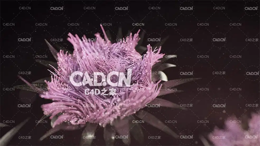 C4D XParticles粒子花卉动画工程 cinema4d particle flower - C4D之家 - particle-flower-floating-in-the-void-1024x576.jpg
