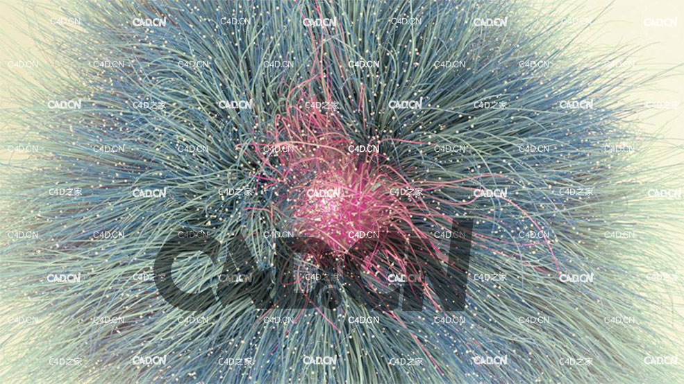 C4D XParticles绽放的夏花粒子线条动画工程