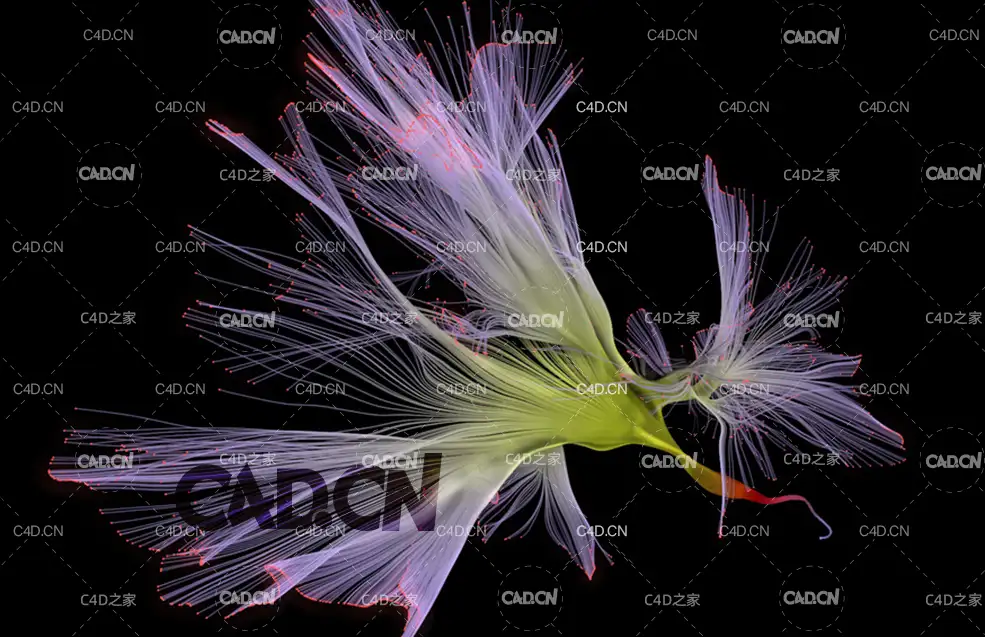酷炫粒子花卉生长变化动画工程 Particle