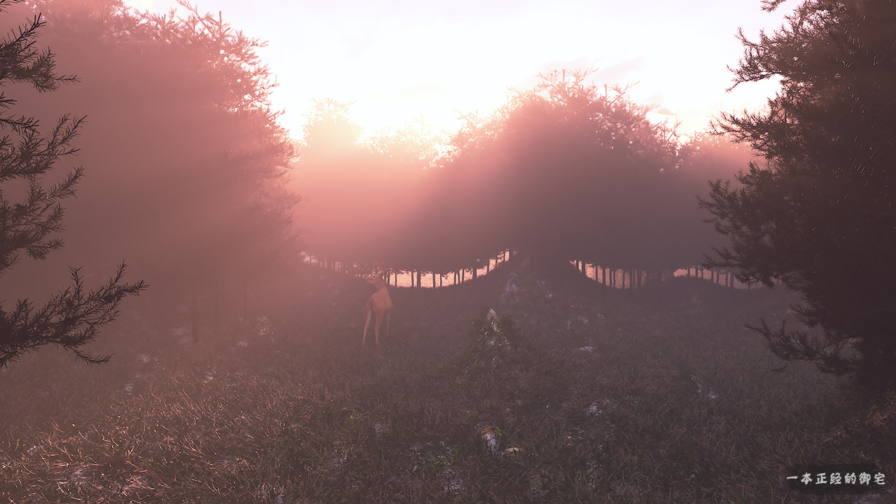 林中路 - C4D之家 - 林中鹿1.jpg