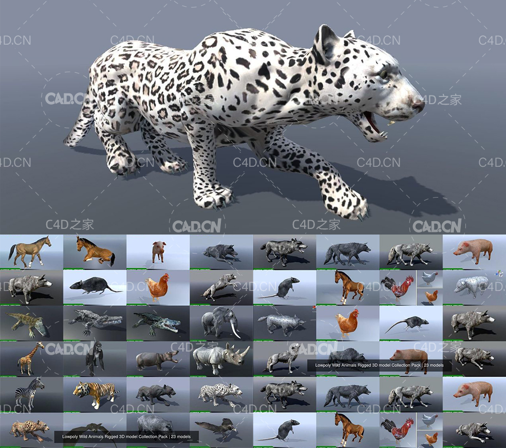 20只低面动物模型合集 Lowpoly Wild Animals Rigged 3D models Collection Pack - C4D之家 - Cgtrader-Lowpoly-Wild-Animals-Rigged-3D-model-Collection-Pack.jpg