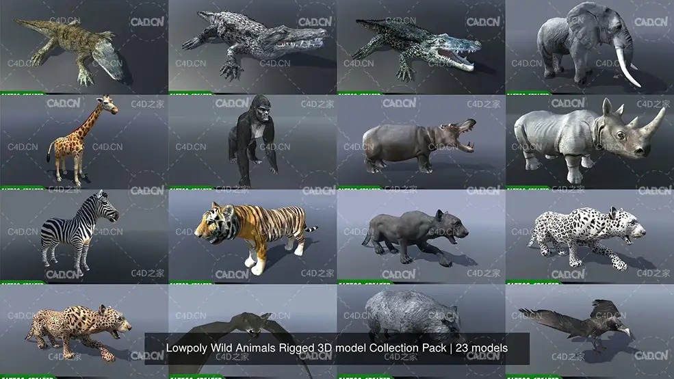20只低面动物模型合集 Lowpoly Wild Animals Rigged 3D models Collection Pack - C4D之家 - lowpoly-wild-animals-rigged-3d-model-collection-pack-3d-model-obj-mtl-3ds-fbx-c4.jpg