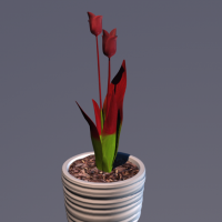 郁金香3D模型：Tulip