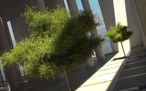 MAX 植物模型3D模型合集 Evermotion Archmodels Vol 42