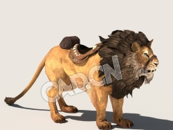 C4D公狮子模型（包含骨骼绑定动画) Lion_Special 3D Model