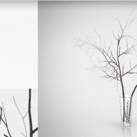 室内装饰花瓶：枯树枝C4D模型 Vase 3D model...