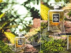 C4D OCTANE化妆品coco香水模型