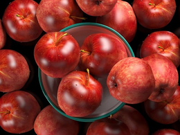 挂水珠的红苹果模型apples