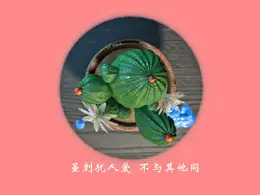 木纹纹理仙人球