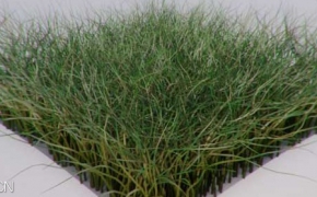 C4D贴图映射插件 Tools4D Texture Remapping Kit v1.80