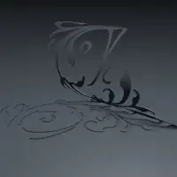 C4D撕纸/卷纸动画工程文件