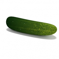 黄瓜C4D模型 cucumber