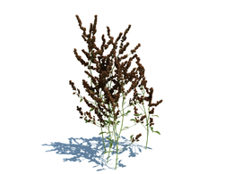 绿地草坪小草植物杂草模型下载simple grass v2