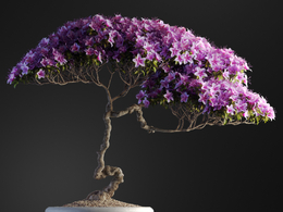 杜鹃紫色花卉盆景c4d模型下载
