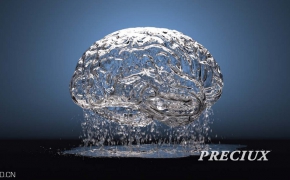 RF C4D接口插件 NextLimit Realflow plugin to Cinema 4D R15-R16 v2.4.3 Win/Mac