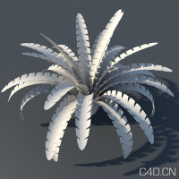 C4D花朵模型：Basic Objects for c4d (r13) 014