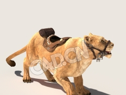 C4D母狮子雌狮模型（包含骨骼绑定动画) LionF 3D Model