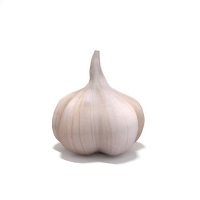 大蒜C4D模型（蒜头、白皮蒜） garlic